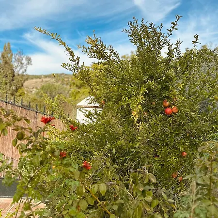 Huerta El Rincon * Zahara De La Sierra