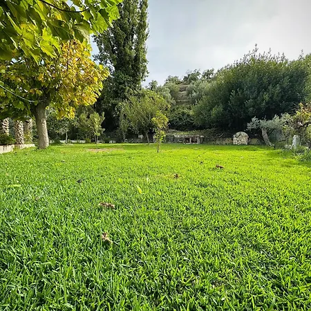 Huerta El Rincon *